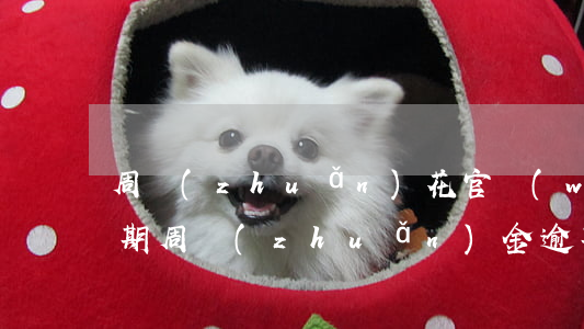 周轉(zhuǎn)花官網(wǎng)逾期(周轉(zhuǎn)金逾期上門)