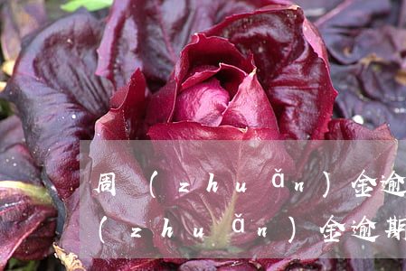 周轉(zhuǎn)金逾期會被起訴嗎(周轉(zhuǎn)金逾期一個月)