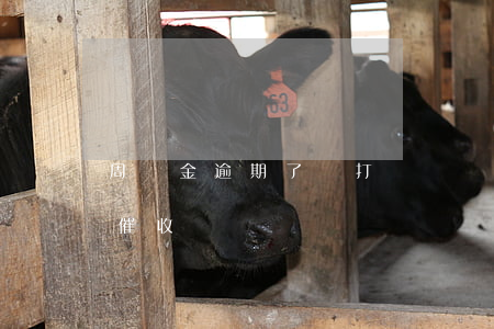周轉金逾期了會打電話給家里人么-周轉金催收