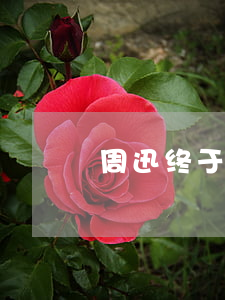 周迅终于承认离婚(周迅终于承认离婚)