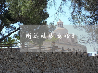 周迅被曝离婚3