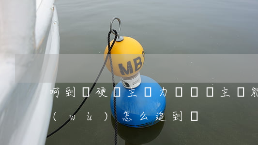 呵到強硬債主無力償還(債主無能力償還債務(wù)怎么追到錢)