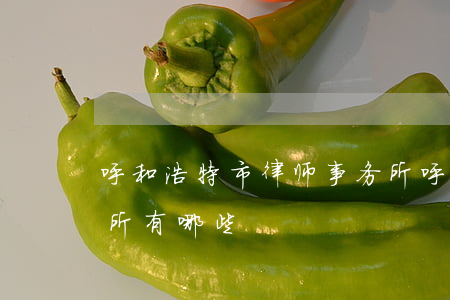 呼和浩特市律师事务所(呼和浩特市律师事务所有哪些)