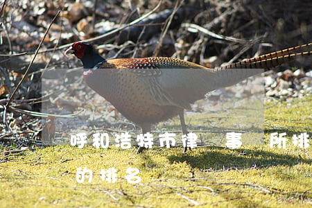 呼和浩特市律師事務所排名(呼市律師事務所的排名)