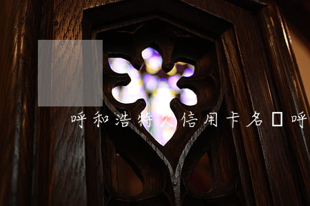 呼和浩特欠信用卡名單(呼和浩特市欠款)