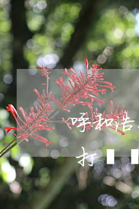 呼和浩特離婚需要預(yù)約嗎(離婚可以打電話預(yù)約嗎)