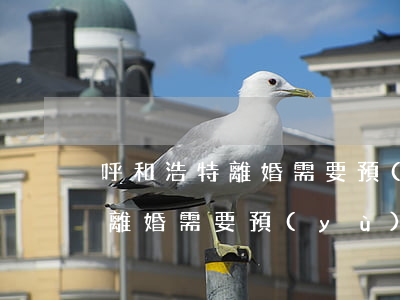 呼和浩特離婚需要預(yù)約嗎(齊齊哈爾離婚需要預(yù)約嗎)