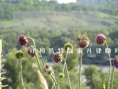 呼和浩特高東升律師(呼和浩特大成律師事務所)