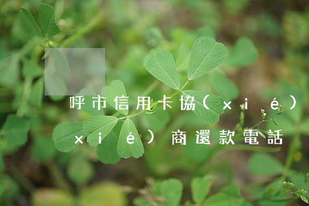 呼市信用卡協(xié)商(呼市信用卡協(xié)商還款電話)
