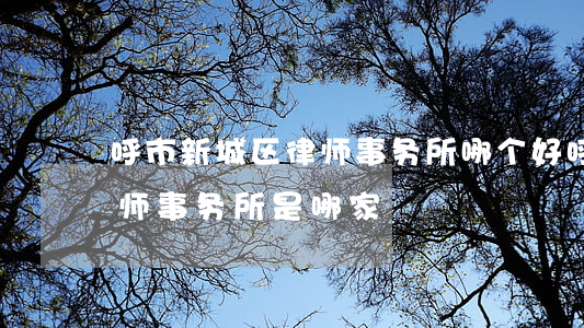呼市新城区律师事务所哪个好(呼市最好的律师事务所是哪家)