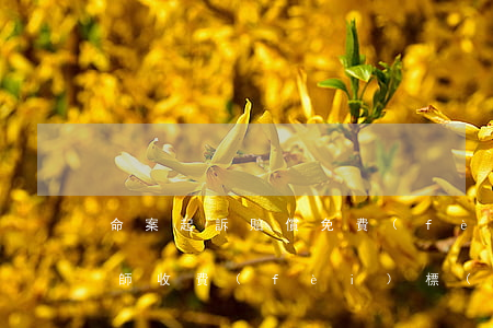 命案起訴賠償免費(fèi)律師(賠償案律師收費(fèi)標(biāo)準(zhǔn))