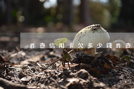 咋查信用卡欠多少錢(咋查信用卡欠多少錢啊)