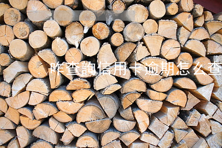 咋查詢信用卡逾期(怎么查信用卡逾期)