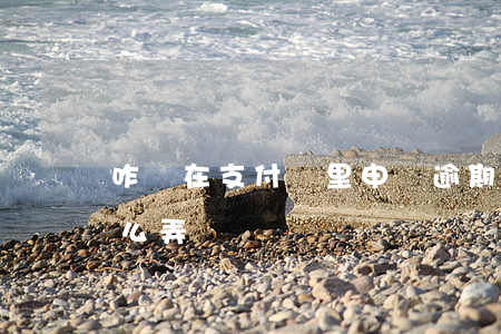 咋樣在支付寶里申訴逾期記錄(支付寶逾期怎么弄)