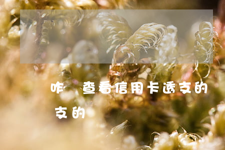 咋樣查看信用卡透支的錢(咋樣查看信用卡透支的錢)