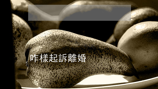 咋樣起訴離婚