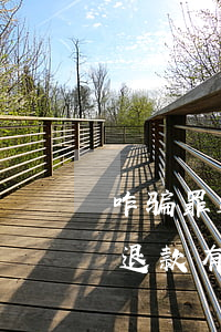 咋骗罪退脏有谅解书能减轻多少(诈骗罪全额退款有谅解书)