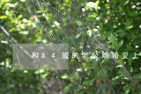 和34歲的老公離婚(愛上43歲離婚男人)