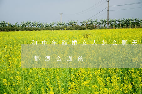 和中年離婚女人怎么聊天(人到中年離婚女人都怎么過的)