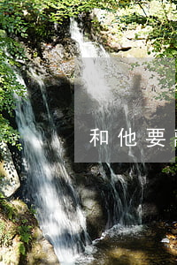 和他要離婚了我該怎么辦