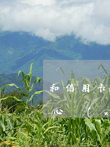 和信用卡中心協(xié)商-和信用卡中心協(xié)商有用嗎