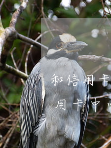 和信用卡中心協(xié)商不還利息(和信用卡中心協(xié)商有用嗎)