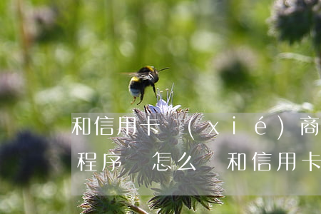 和信用卡協(xié)商還款不肯要走司法程序該怎么辦（和信用卡協(xié)商能少還嗎）