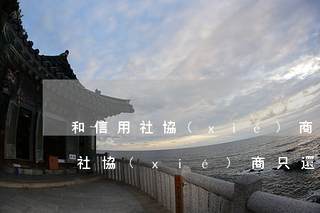 和信用社協(xié)商只還本金-和信用社協(xié)商只還本金怎么辦