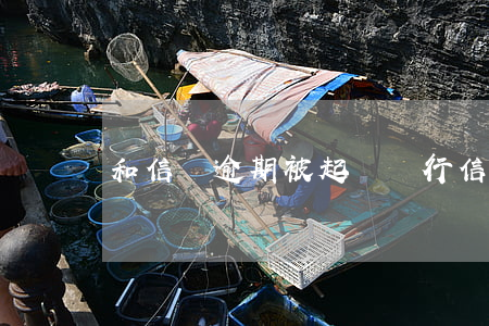 和信貸逾期被起訴(銀行信用貸款逾期被起訴)