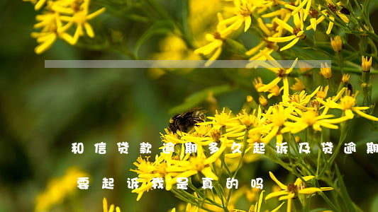 和信贷款逾期多久起诉(及贷逾期了,发信息说要起诉我是真的吗)