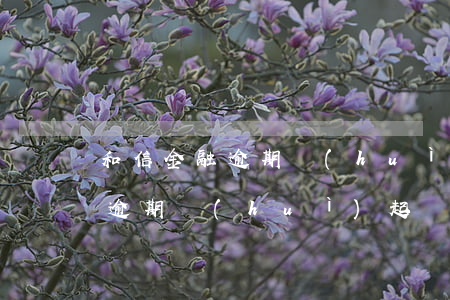 和信金融逾期會(huì)起訴嗎(和信金融逾期會(huì)起訴嗎)