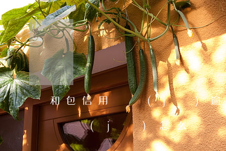 和包信用購機(jī)逾期怎么辦 和包信用購機(jī)怎么還
