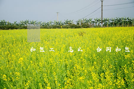 和包工頭怎么簽合同(和包工頭簽合同范本)