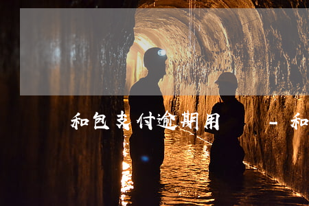 和包支付逾期用還嗎-和包支付會上征信嗎