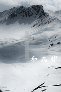 和大律師面對面全集552