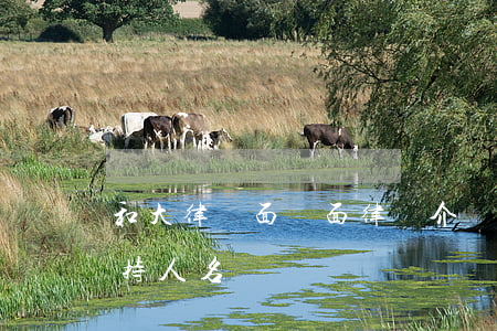 和大律師面對面律師介紹(和大律師面對面主持人名單)