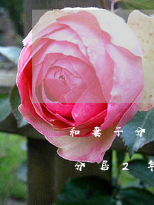 和妻子分居兩年了她又不離婚(老婆要鬧離婚,分居2年了,怎么辦)