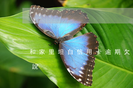 和家里坦白信用卡逾期(欠信用卡怎么和家里說)