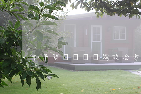和平解決國際爭端政治方法包括哪些