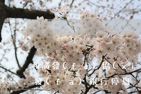 和廣發(fā)協(xié)商停息掛賬(廣發(fā)銀行停息掛賬有申請成功的嗎)