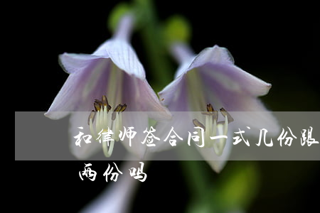 和律师签合同一式几份(跟律师签合同是一式两份吗)
