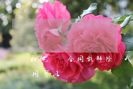 和律師簽合同能解除嗎(我想解除和律師的合同可以嗎?)