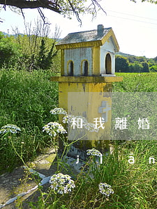 和我離婚后他過(guò)得更好(老公堅(jiān)持離婚后來(lái)和好)