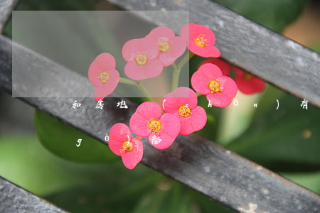 和房地產(chǎn)有合同糾紛找哪個(gè)部門