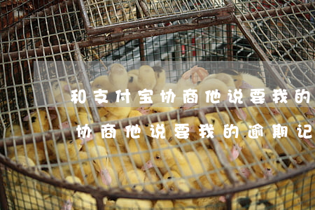 和支付宝协商他说要我的逾期记录(和支付宝协商他说要我的逾期记录)