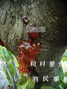 和村里合同糾紛如何維權(quán)(村里的民事糾紛如何解決)