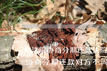 和法院协商分期还款法院会支持吗-去法院协商分期还款,对方不同意怎么办