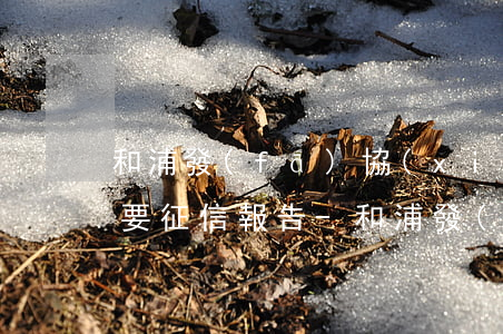和浦發(fā)協(xié)商還款為什么要征信報告-和浦發(fā)協(xié)商還款為什么要征信報告呢
