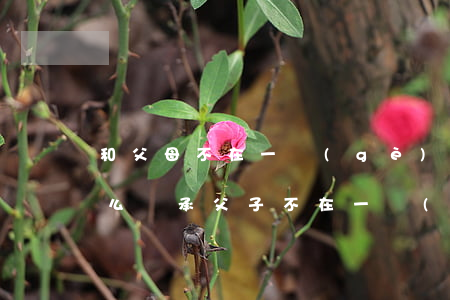 和父母不在一個(gè)戶(hù)口本怎么繼承(父子不在一個(gè)戶(hù)口本上能繼承)