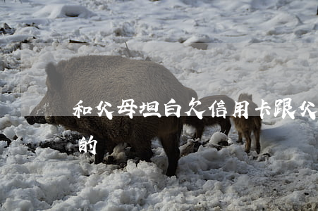 和父母坦白欠信用卡 跟父母坦白欠錢80萬的經歷